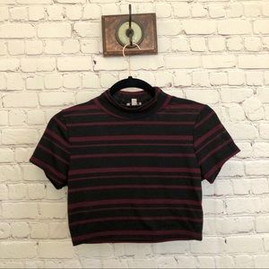 Black and burgundy striped crop top.